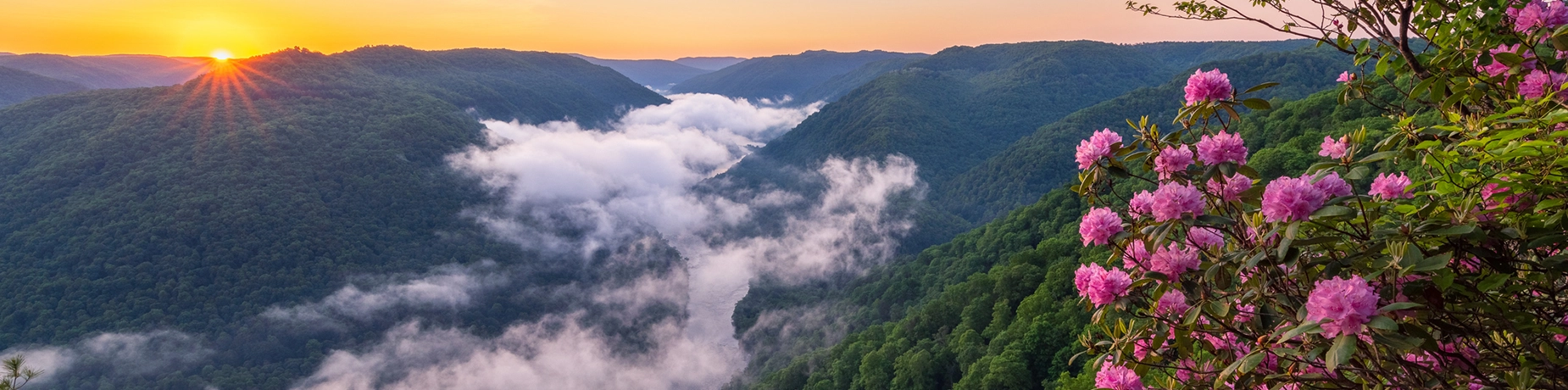 spring in mountains.webp