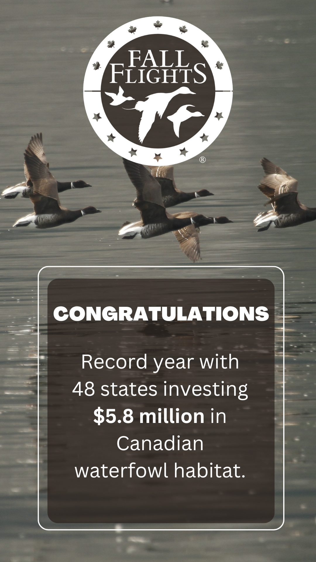 Fall Flights call out box.png