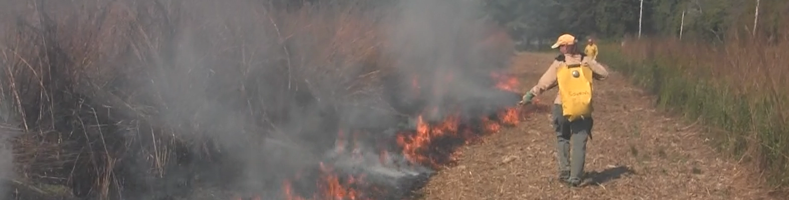 controlled-fire-burn-IN-banner.webp