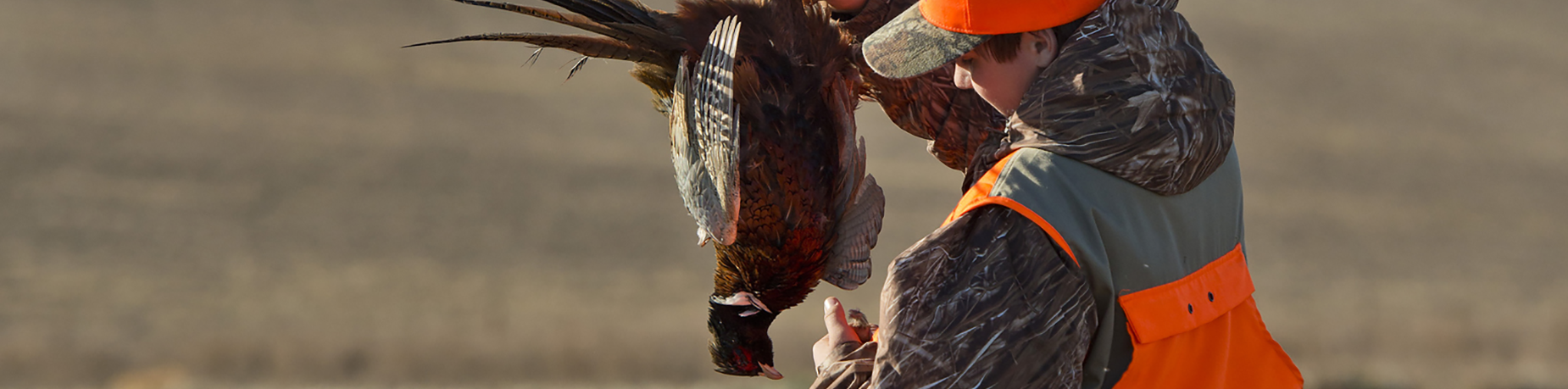 pheasant-hunter-banner.webp