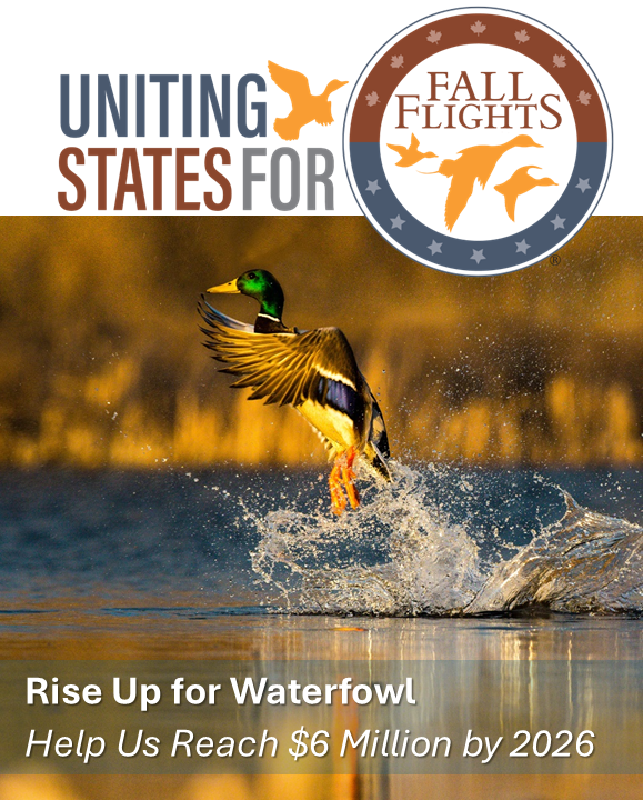 FALL FIGHTS CAMPAIN REVEAL.png