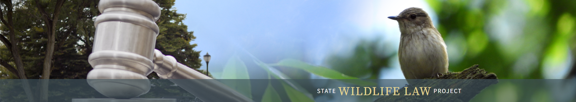 law-library.webp
