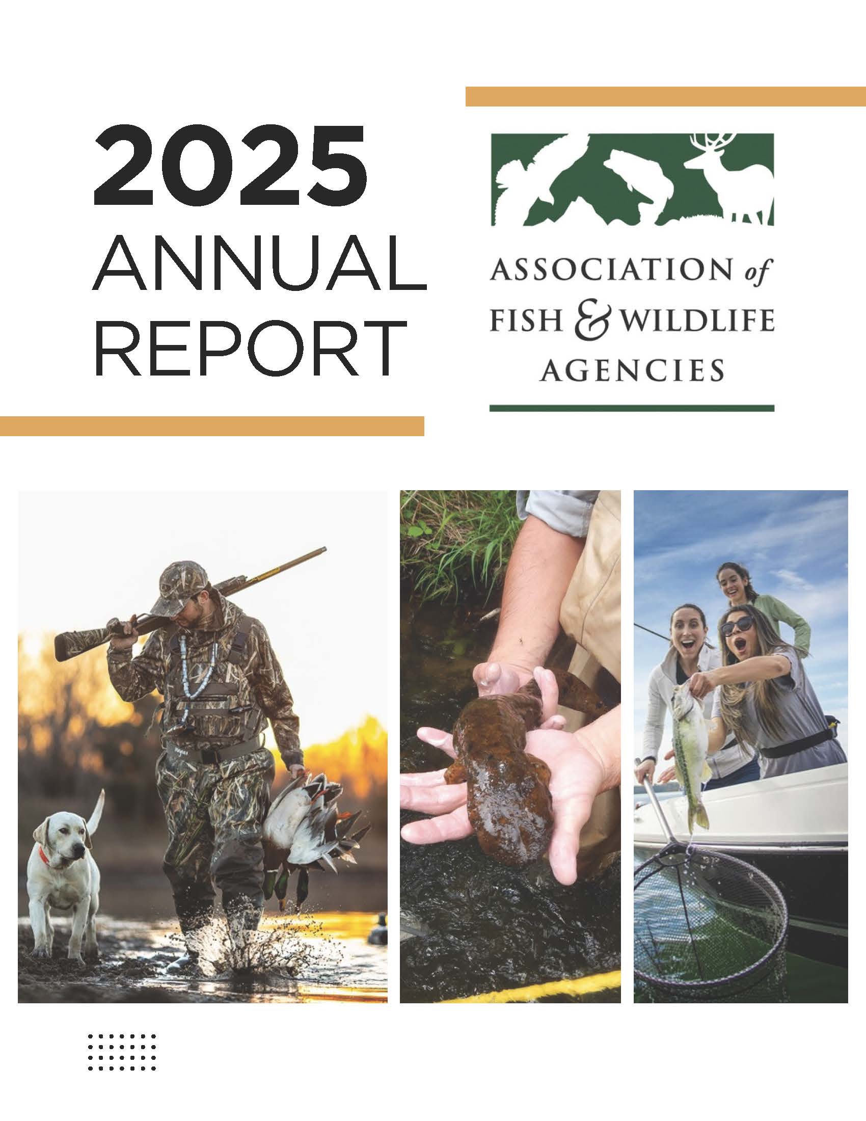 AFWA 2025 Annual Report COVER.jpg