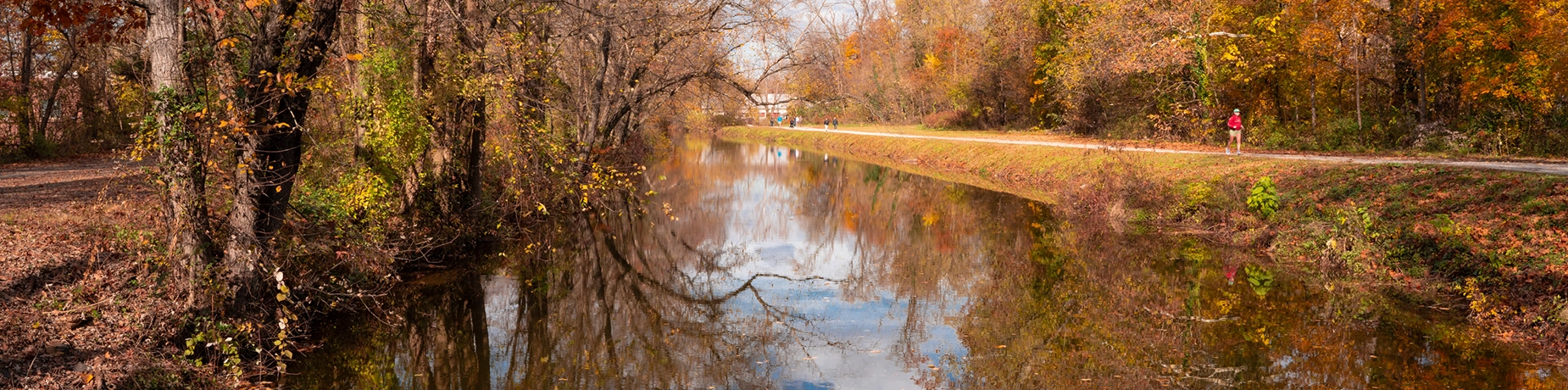 fall trails.webp