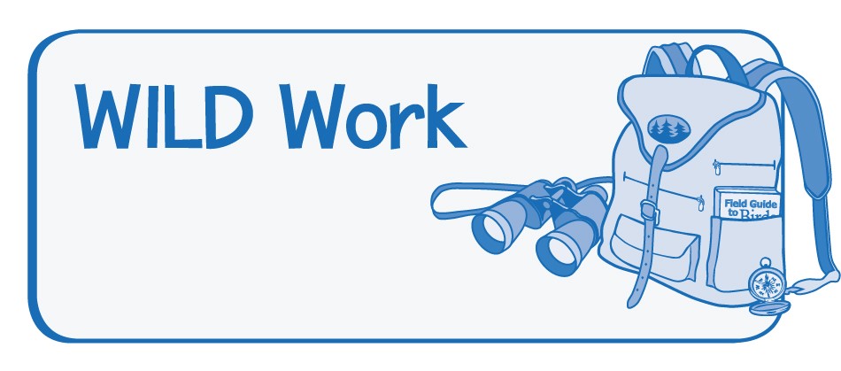 AW WILD Work Logo.jpg