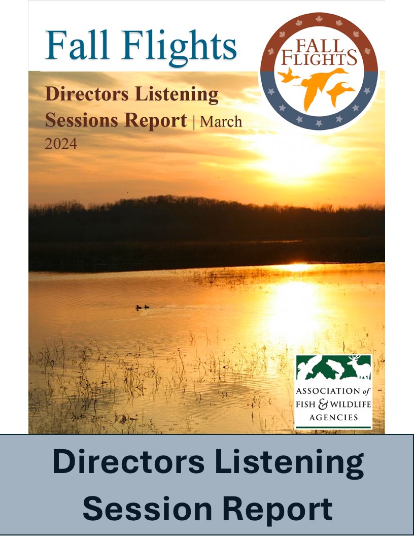 Directors Listening Report.jpg