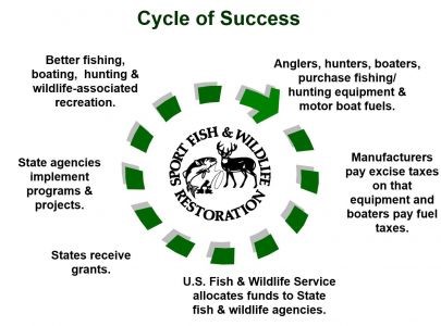 Cycle of success.jpg