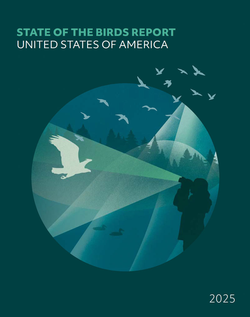 sotb-2025-cover.jpg