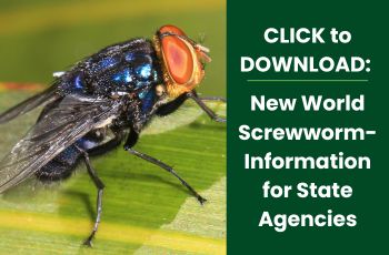 Copy of FWH Initiative photos (2).jpg