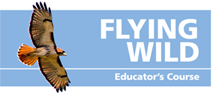 Flying WILD Online Course Graphic Reduced 4.png