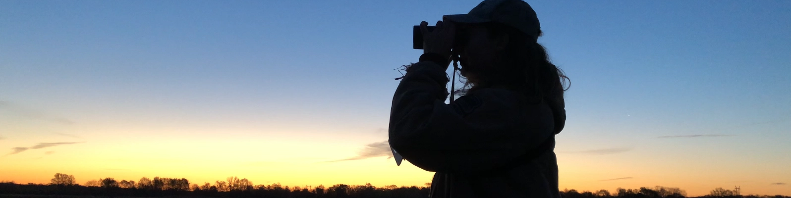 ornithologist-IN-banner.webp