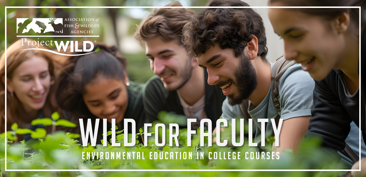 WILD for Faculty banner 1_4.png