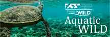 Aquatic WILD Online Graphic reduced 4.png