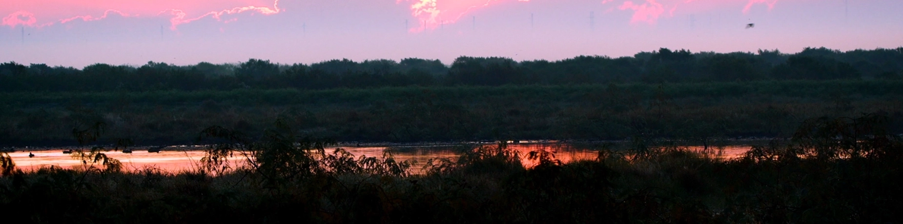 sunrise-duck-hunting-TX-crop.webp