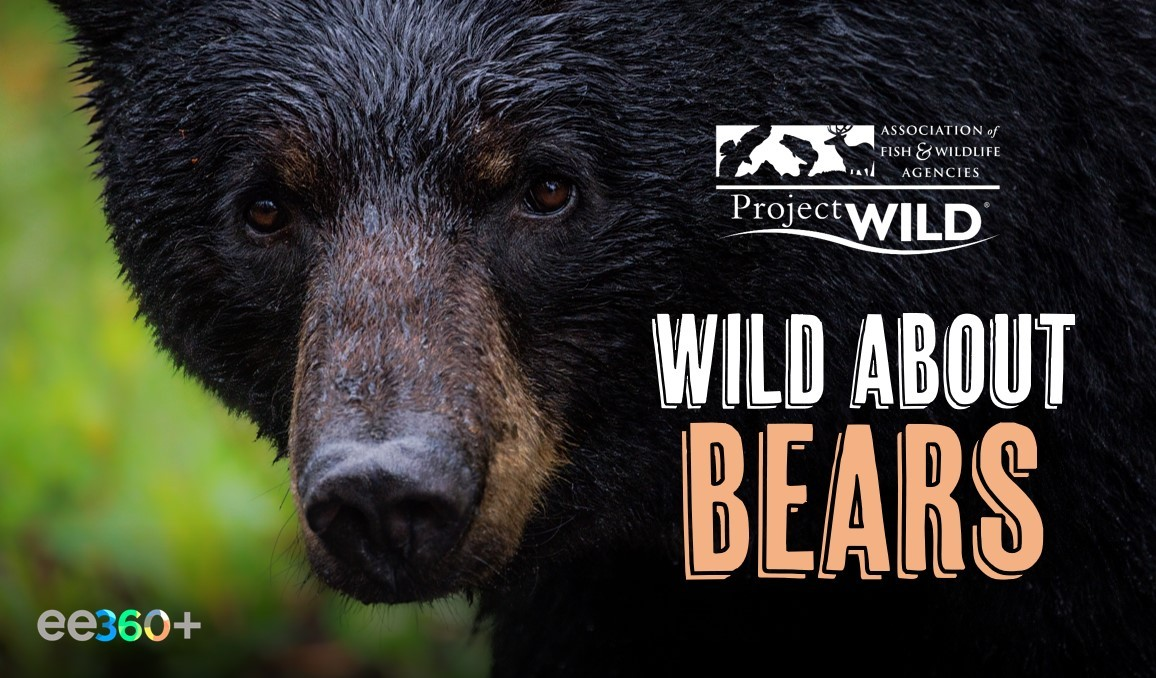 WILD About Bears_course banner.png