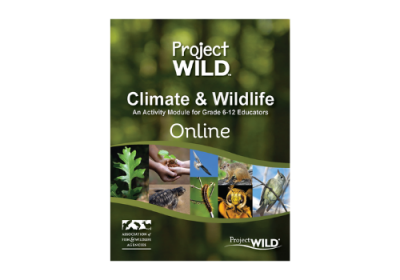 Climate and Wildlife Course